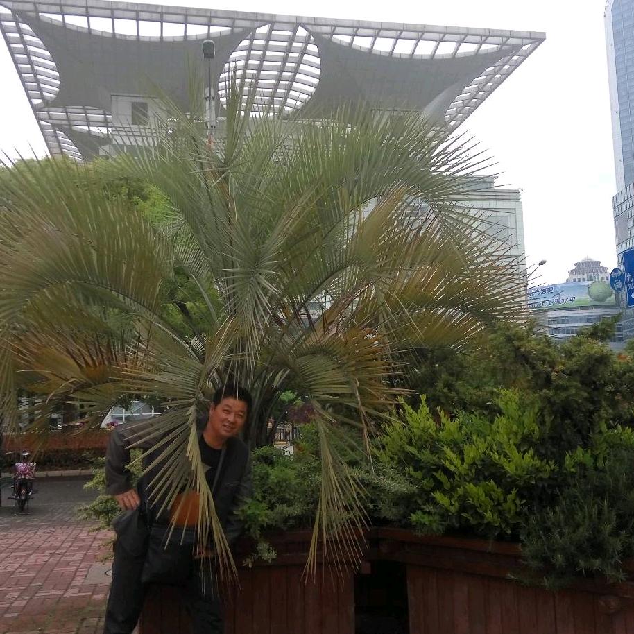 美好中国