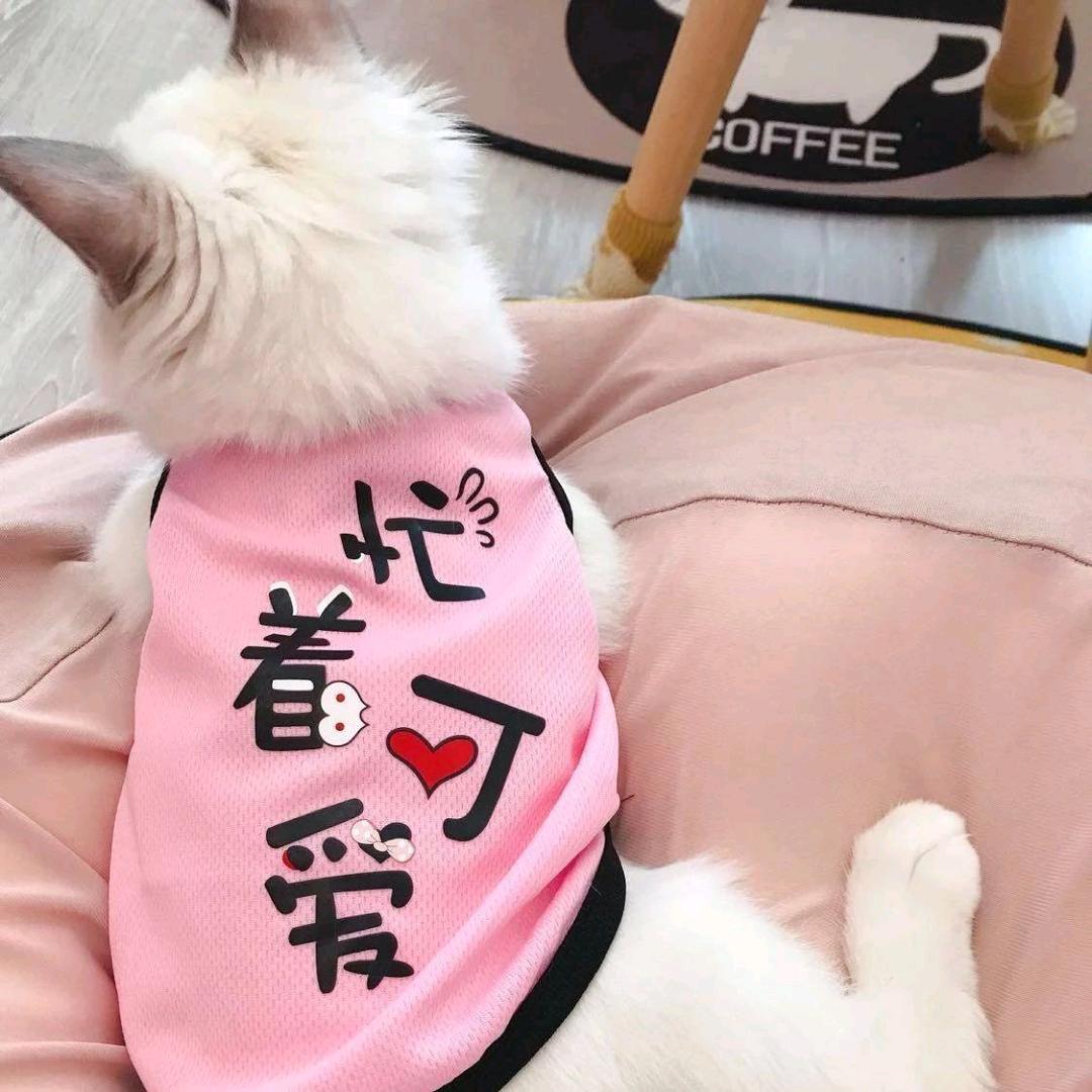 小天真