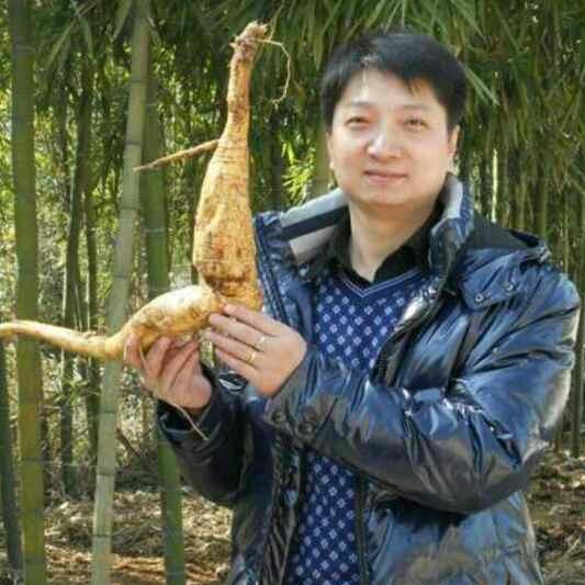 今晚打老虎