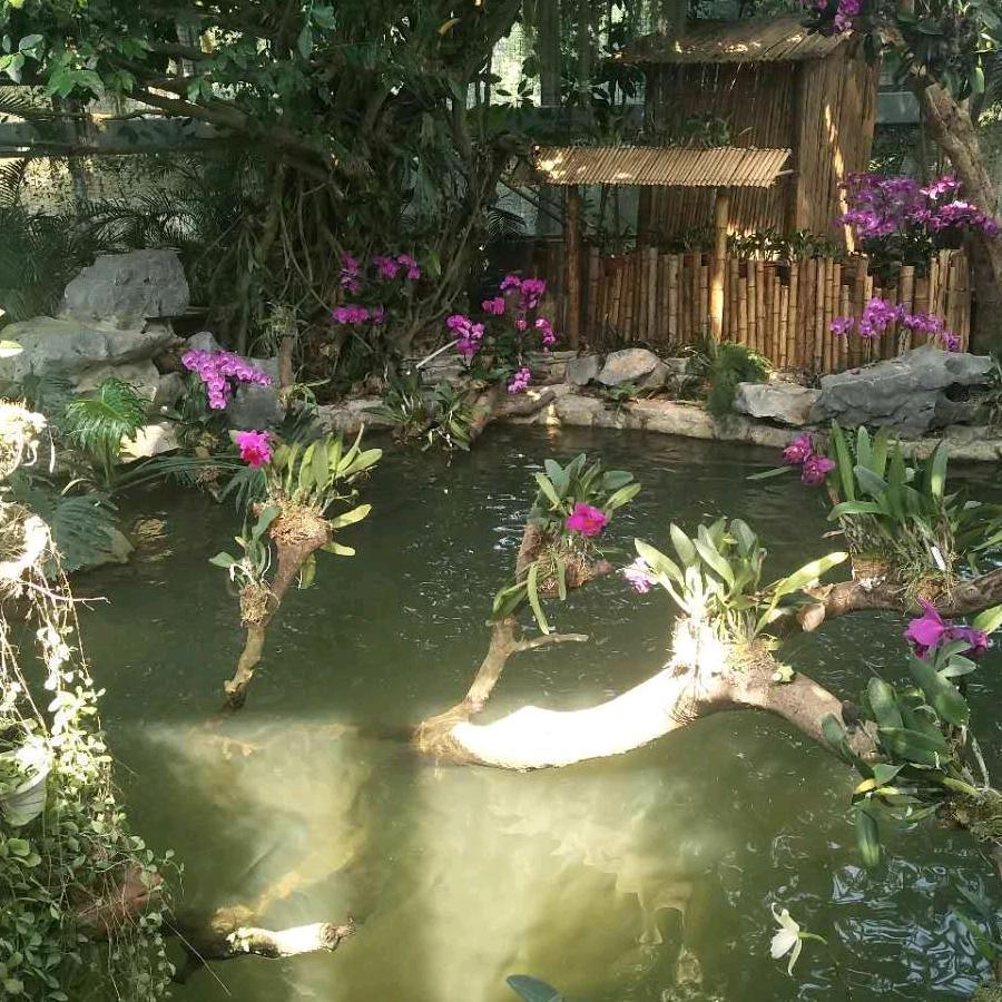 魔高一尺道高一丈