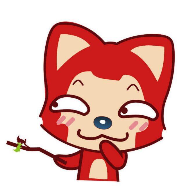 我在你看不到的天空