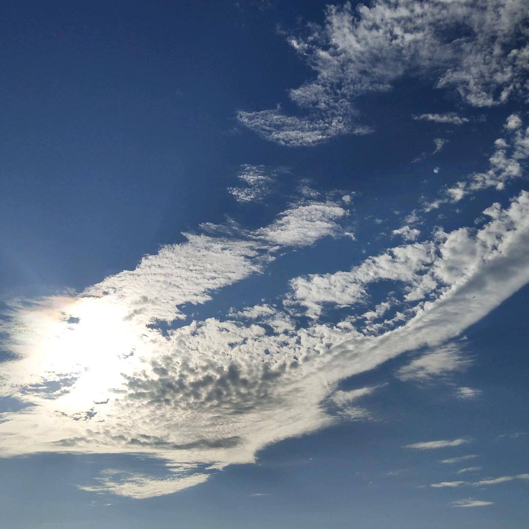 留七分正经，以谋生。装三分痴呆，以示人！