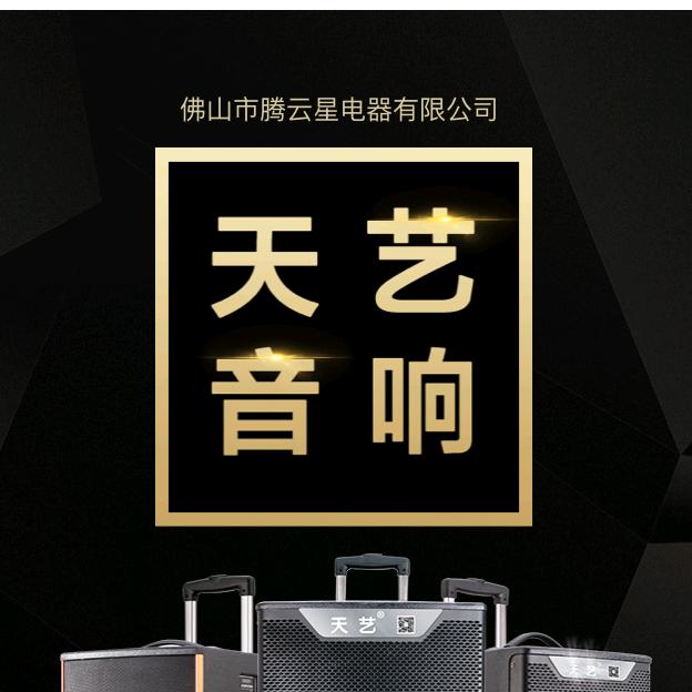 天艺户外音响