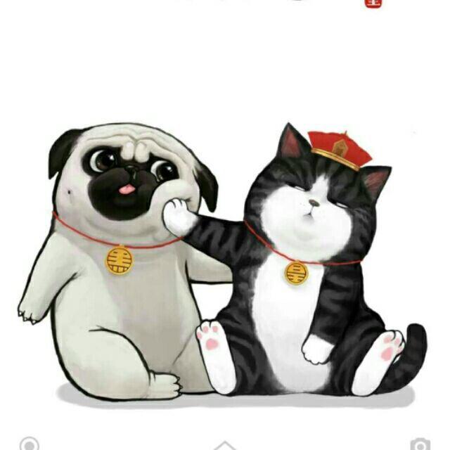 清风vs