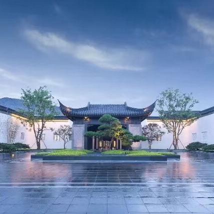 胖大海没那么胖了😔