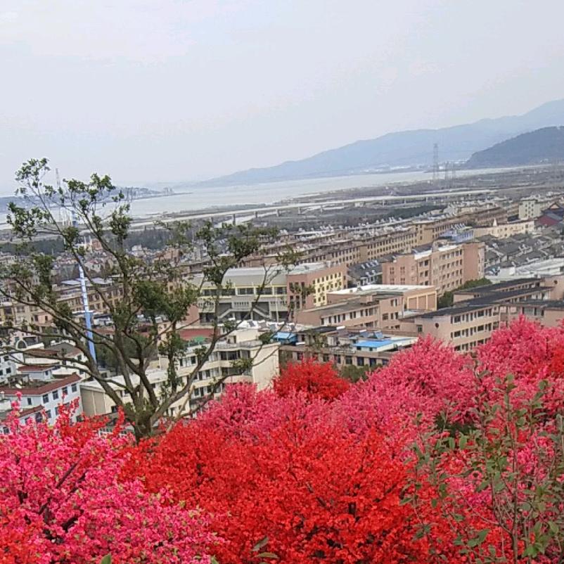 余生不多，请相依珍惜