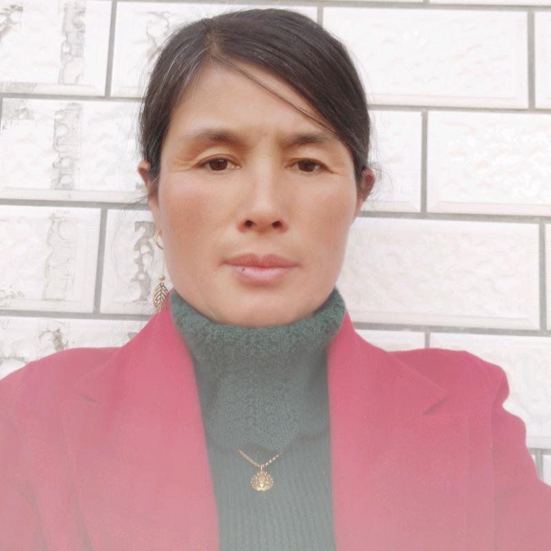 云妃雪