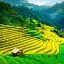 开心过好每一天