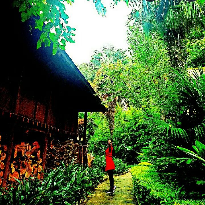 恰逢在下白十八