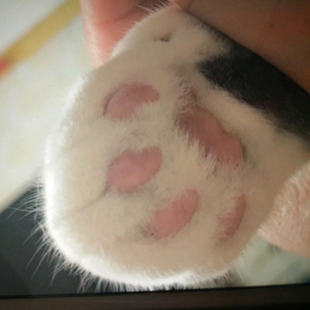 遇见1992巴黎地下的风1