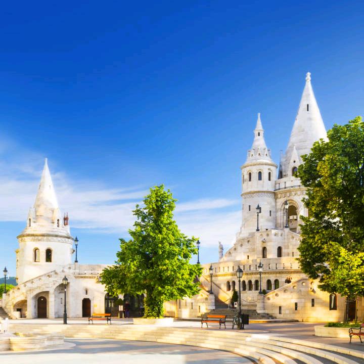 小余🌹🌺🌷🌸1884174066