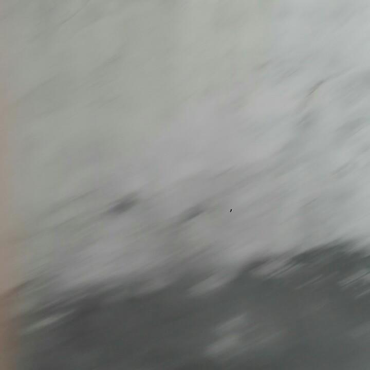 朝哥