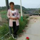 樊姐