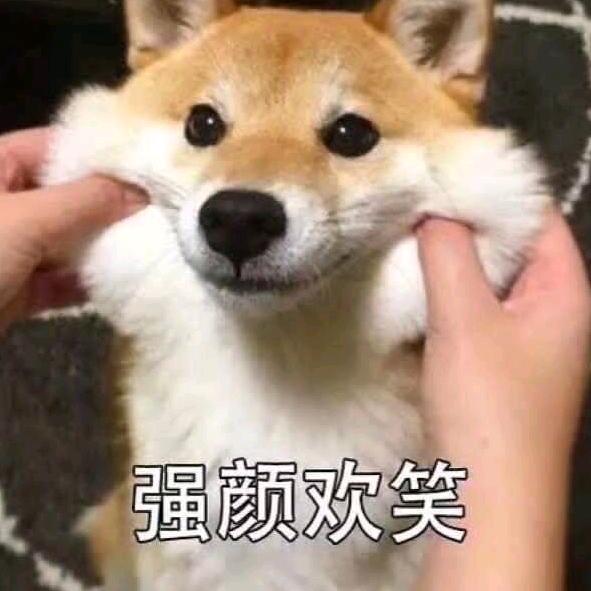 哒哒哒大大凡òᆺó