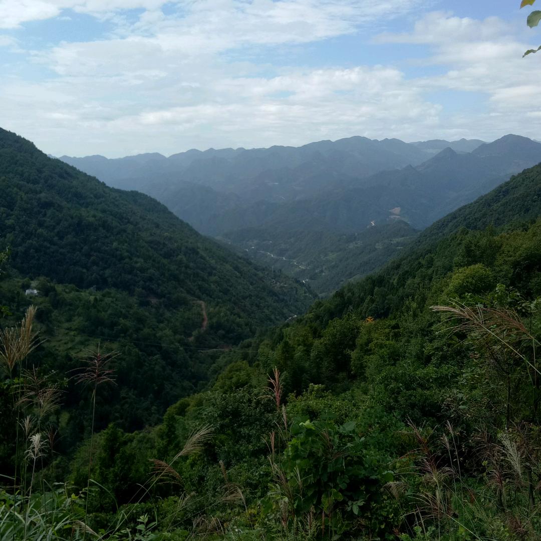 实体行业守望者