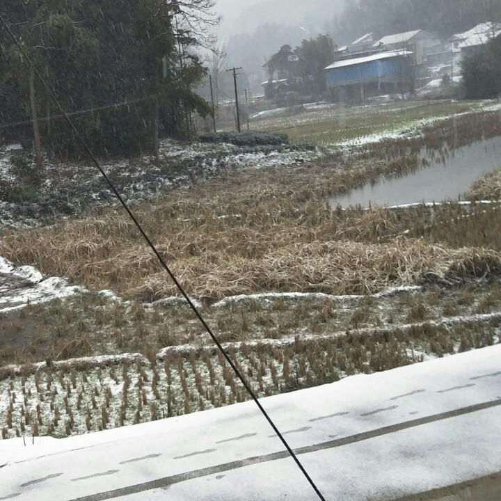 鹿鸣噜噜噜鸣