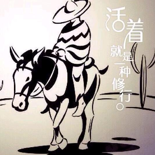 西北有北