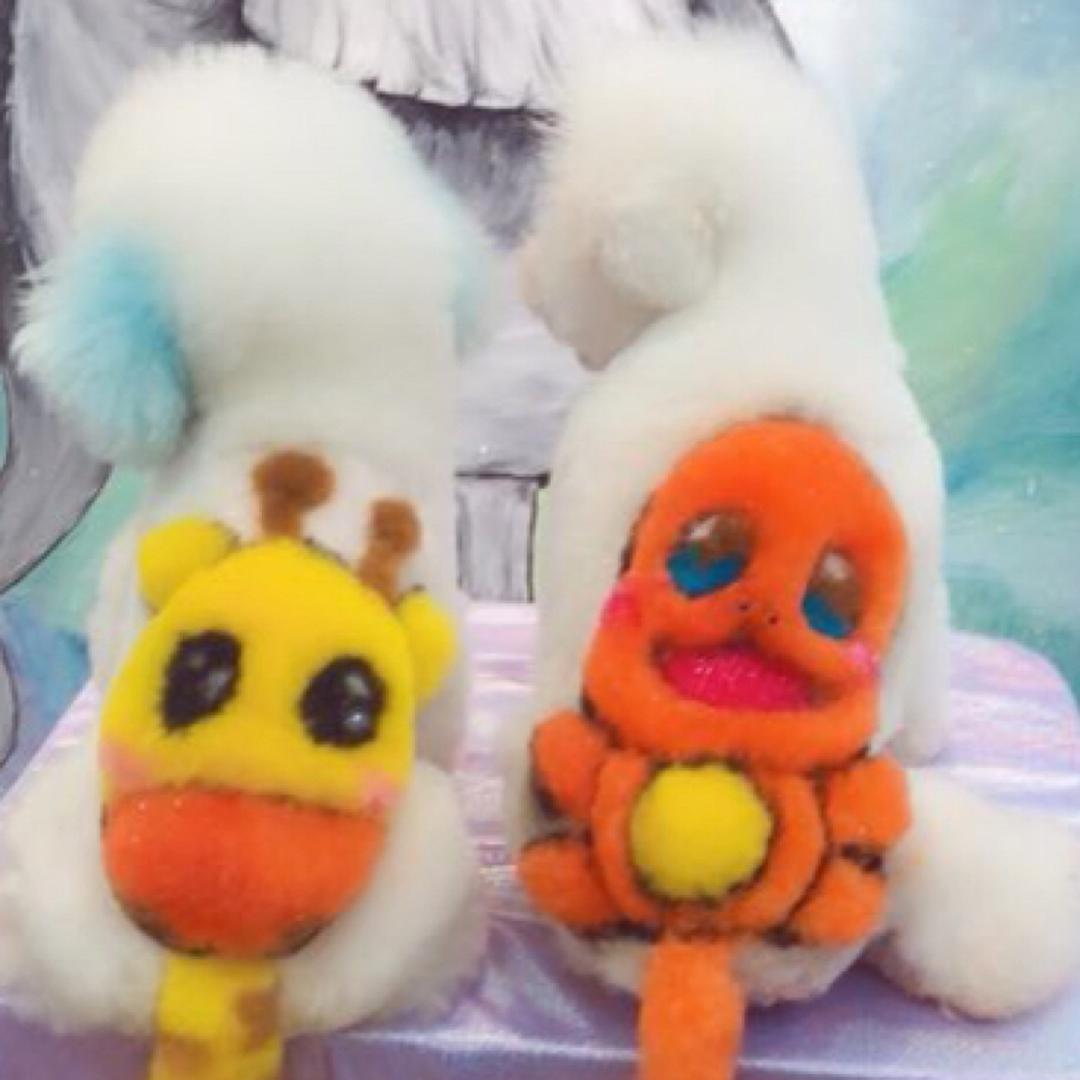 嵩县小宠迷宠物美容店