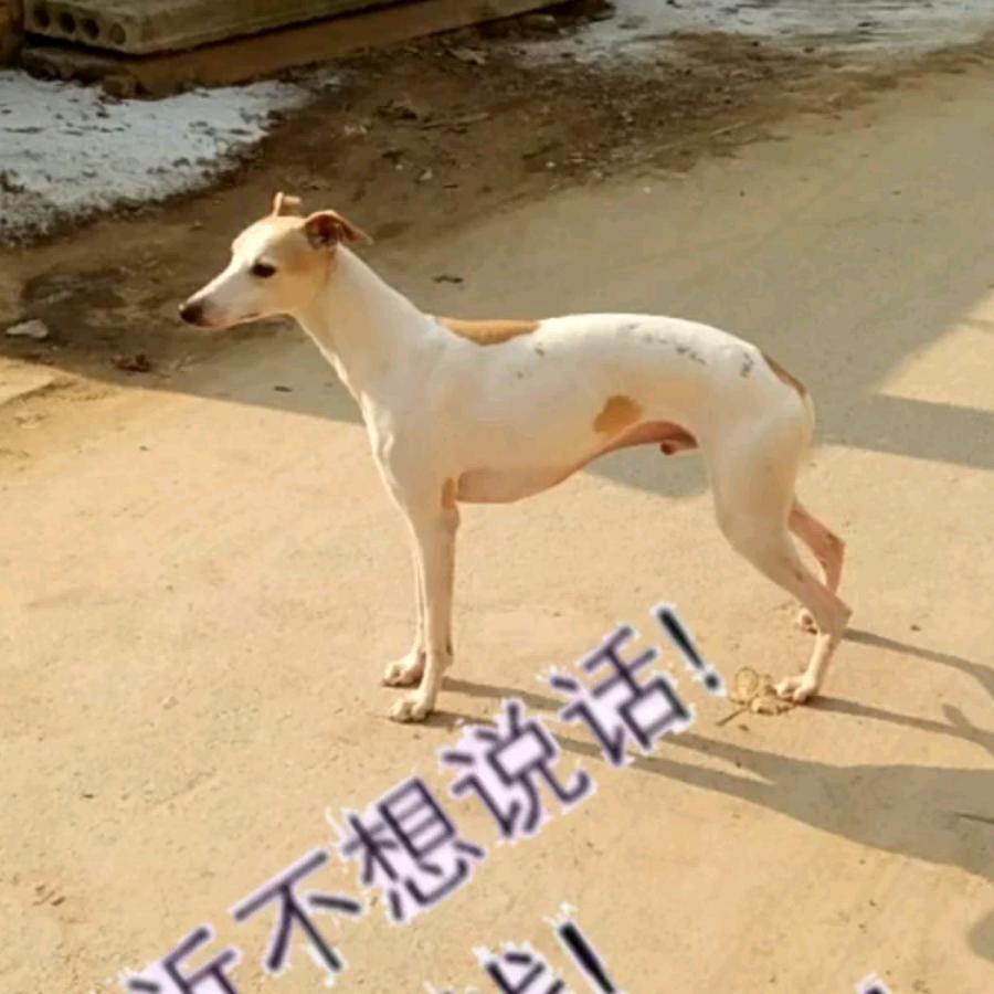 两眼一睁，开始竞争 ！