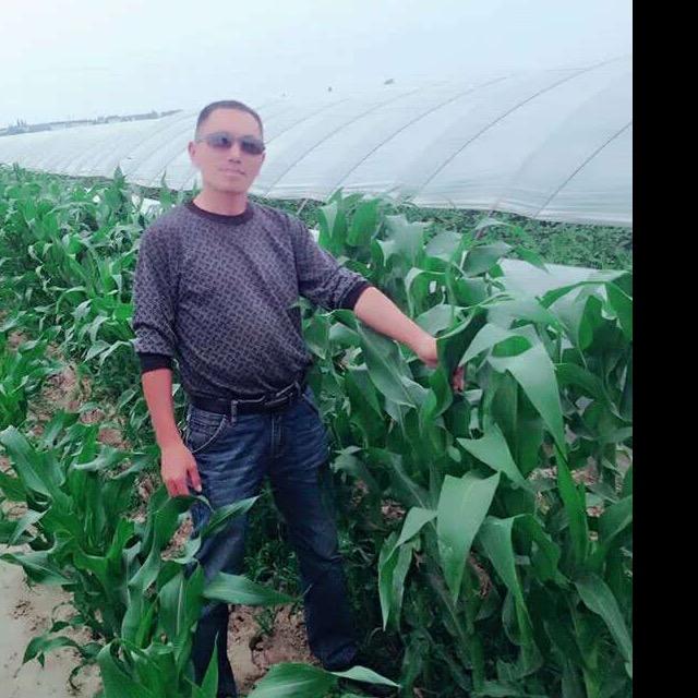 爱已停机，情已欠费，请勿与我联系