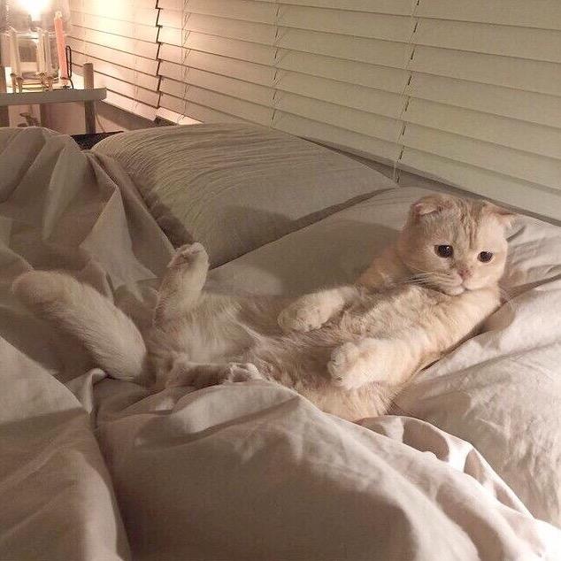 烦😡
