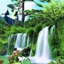 🍀忘忧草🍀