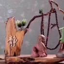 期待明天