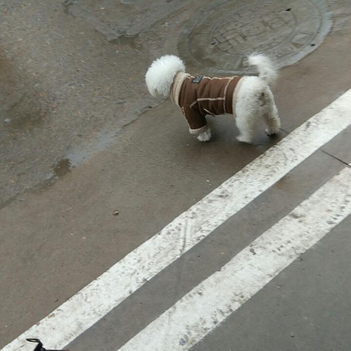 爱国