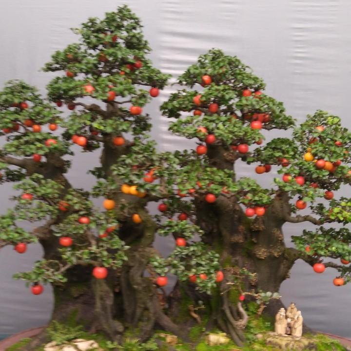 青城《逸品园》