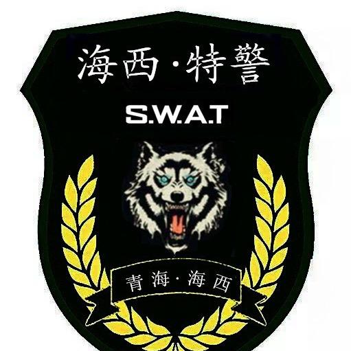 海西特警