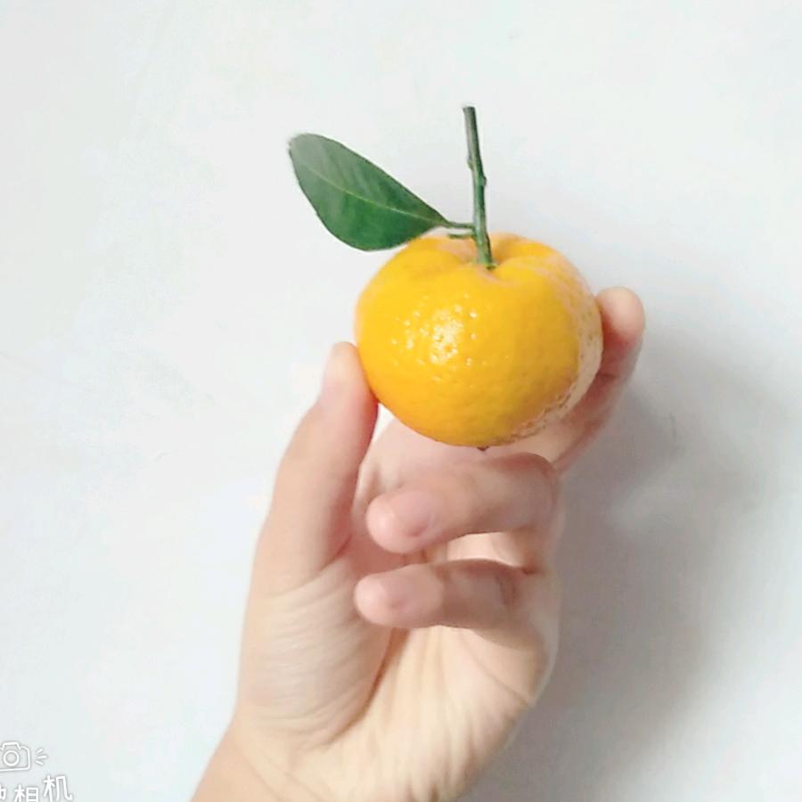 张阡陌