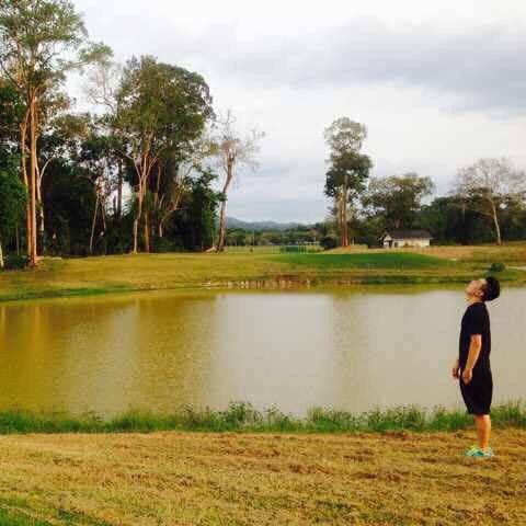 落叶随风将要去何方