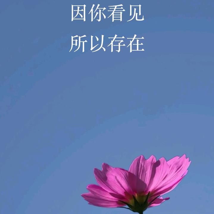 🌟火柴先生