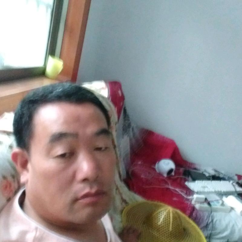 自由人