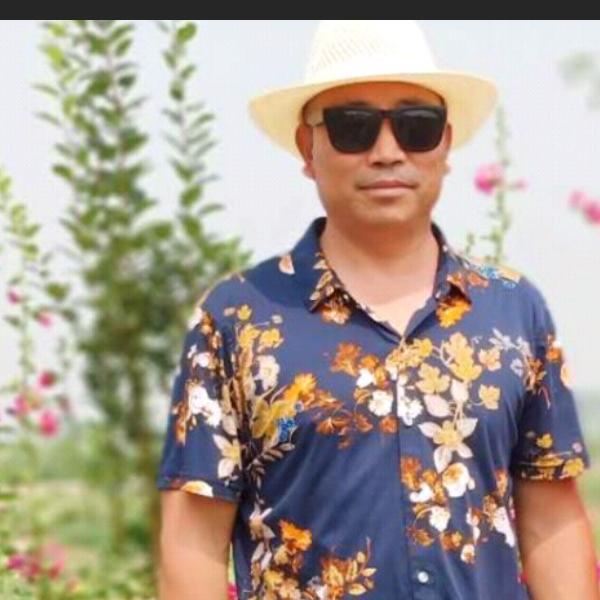给力男人