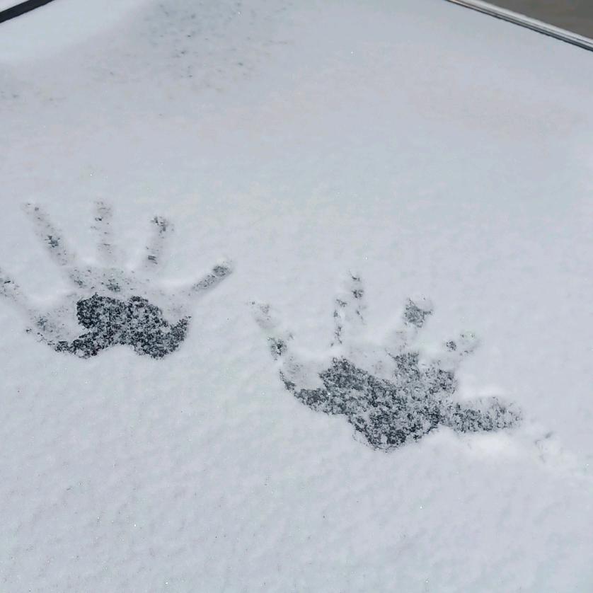 user2488191914279荟