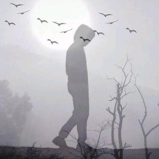 我还是个熊孩子๑