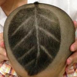 ｡ﾟ(ﾟ∩´﹏`∩ﾟ)ﾟ卡皮巴拉