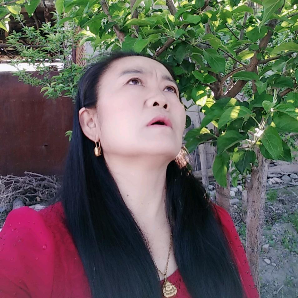 紫罗兰