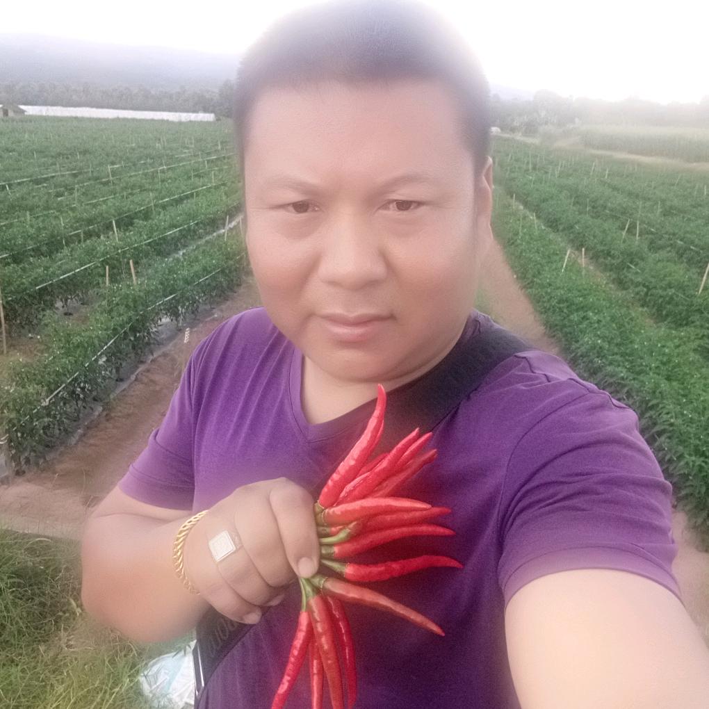 农大哥