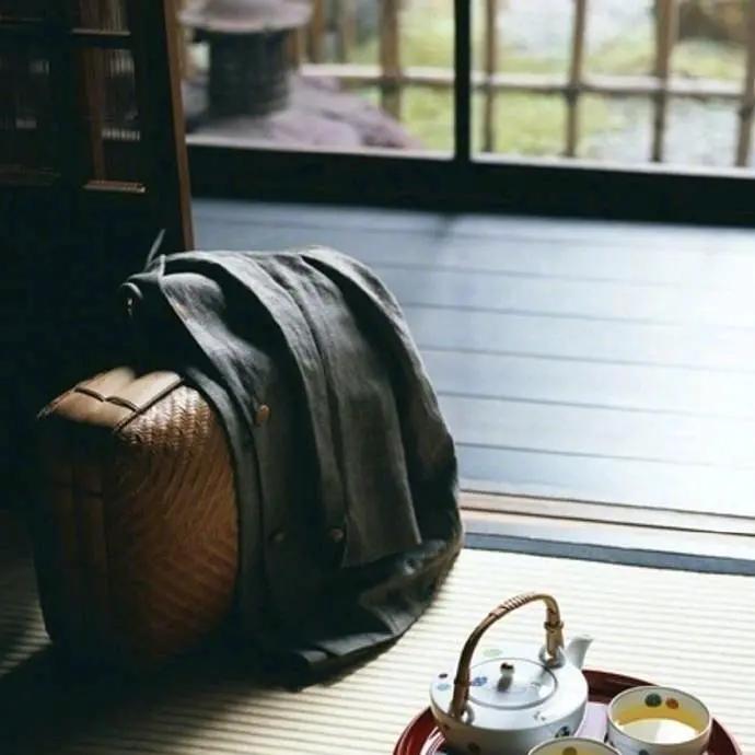 vivi是只喵