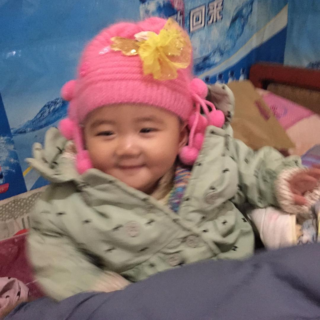 鸿雁飞翔