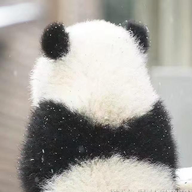 髙牙牙