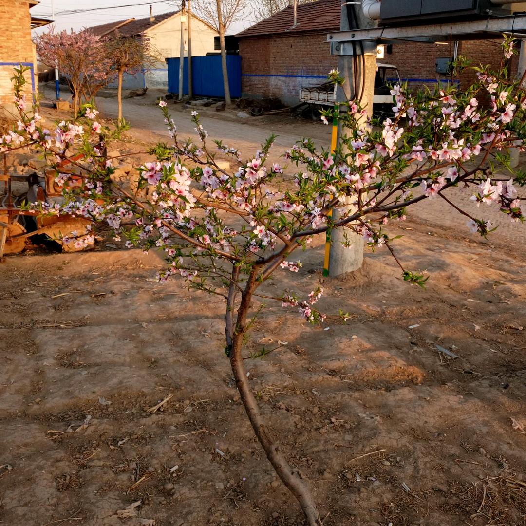🚬ಇ᭄浓烟࿆ྃ伴໊酒