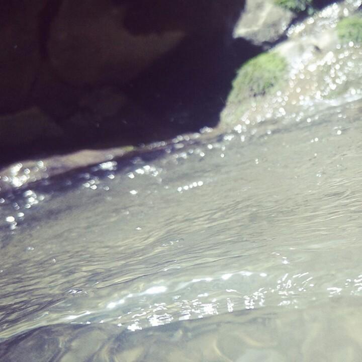 邹邹又木木