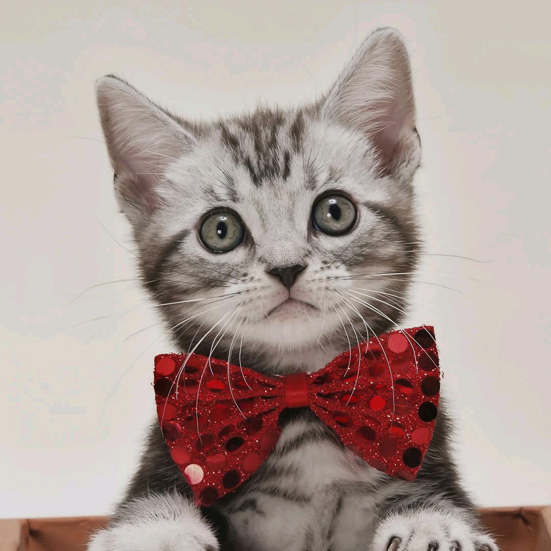 桃之夭夭，灼灼其华