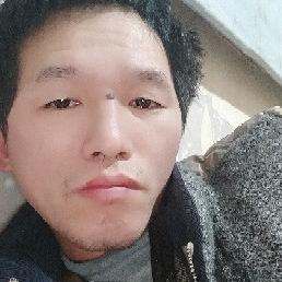 我是一只狼
