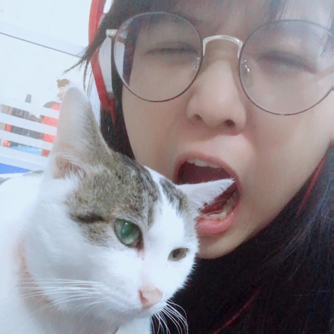 罐装后期喵