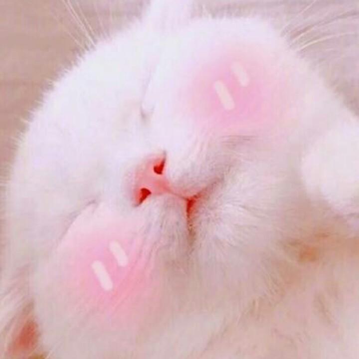 最美不过初相遇