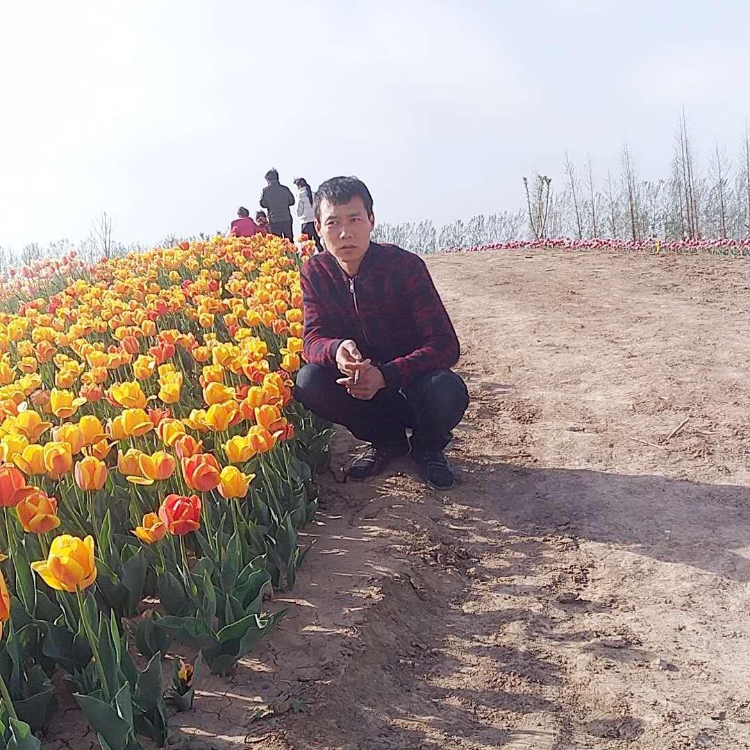 应举镇 长城门业 安利来门